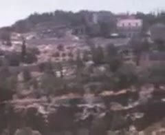Home movie in Israel From Milton Orchin