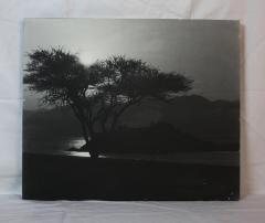 Photo Print from Milton Orchin's Collection