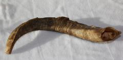 Shofar