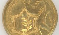 Yom Kippur War Commemorative Medal - 1973