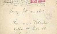 Envelope Addressed to Franz Blumenstein in Cuba