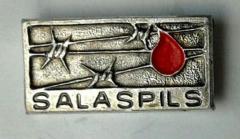 Salaspils Survivor & Commemorative Pin