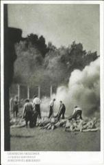 Auschwitz-Birkenau Postcard Showing a view of the Sondercommando in the Process of Cremation of Corpses on Pyres after the were Gassed