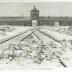 Auschwitz-Birkenau Postcard Showing the Front Gates of Auschwitz Through Which Trains Entered the Camp (Referred to on the postcard as "Gates of Death")