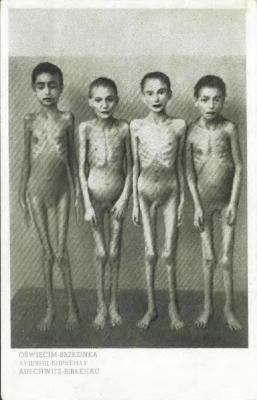 Auschwitz-Birkenau Postcard Showing Young Gypsy Children who were Interned at the Camp